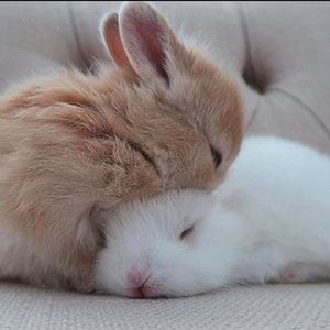 Happy Easter 🐰💗